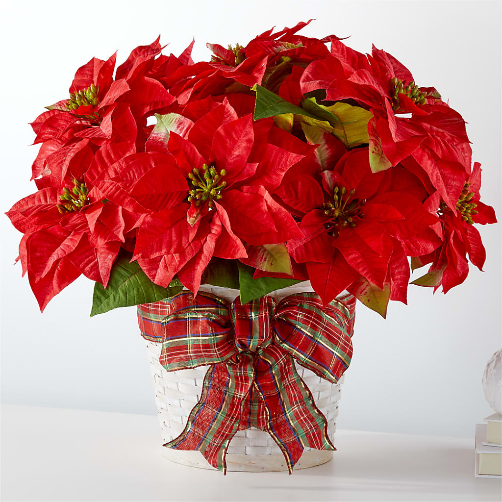 Happiest Holidays Poinsettia – THE FLOWER PATCH & GIFT SHOPPE, Lehighton PA