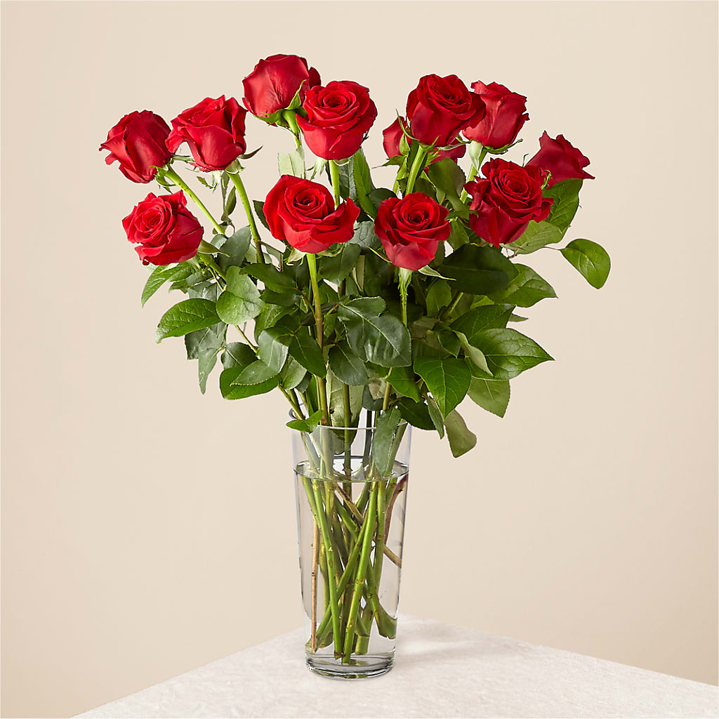 Long Stem Red Rose Bouquet – THE FLOWER PATCH & GIFT SHOPPE, Lehighton PA
