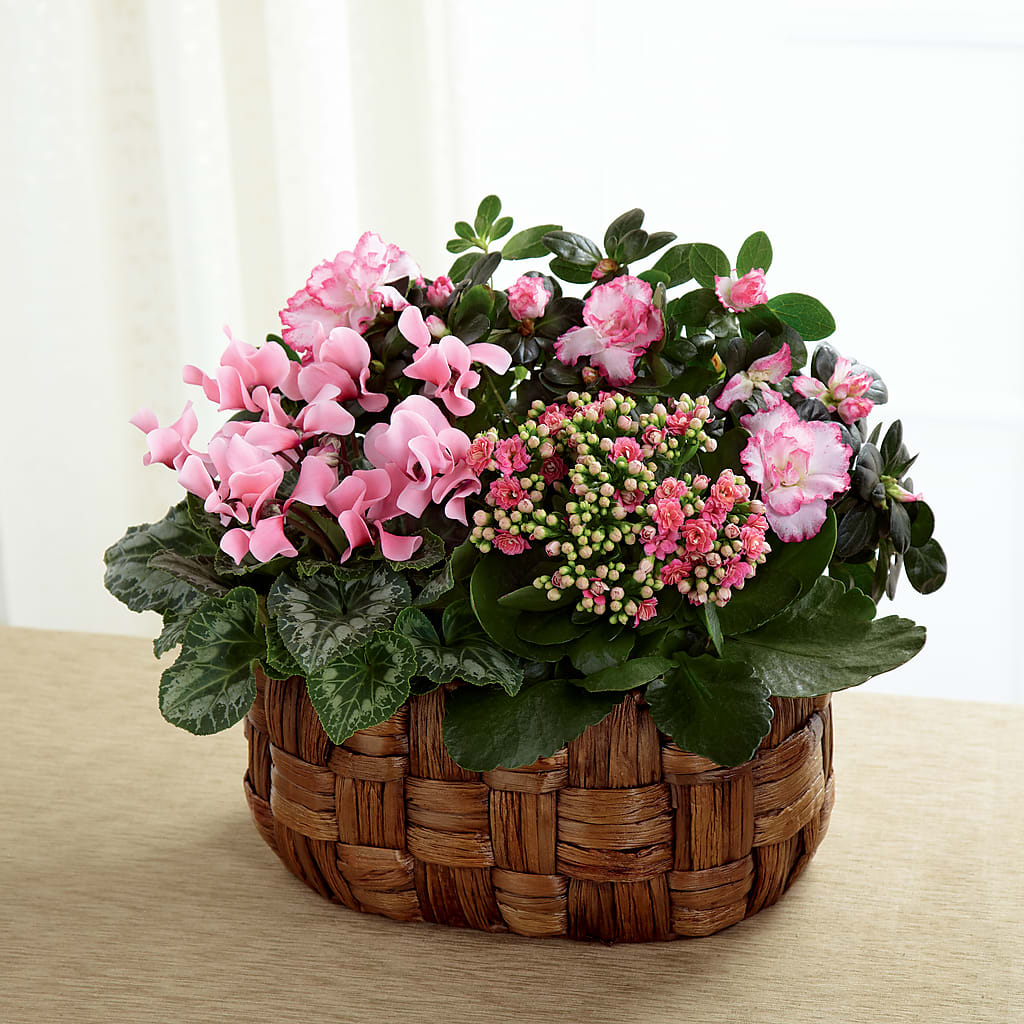 Pink Assortment – THE FLOWER PATCH & GIFT SHOPPE, Lehighton PA