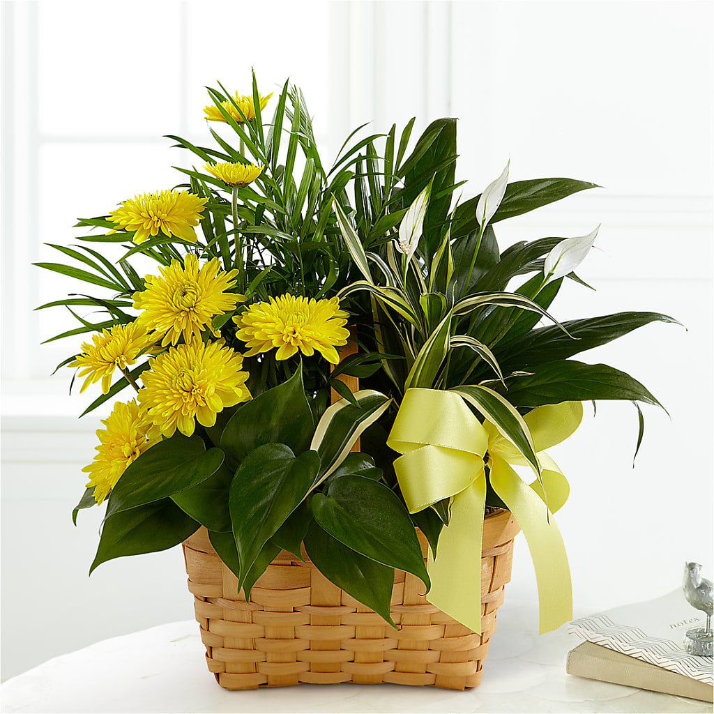 Loving Light Dishgarden – THE FLOWER PATCH & GIFT SHOPPE, Lehighton PA