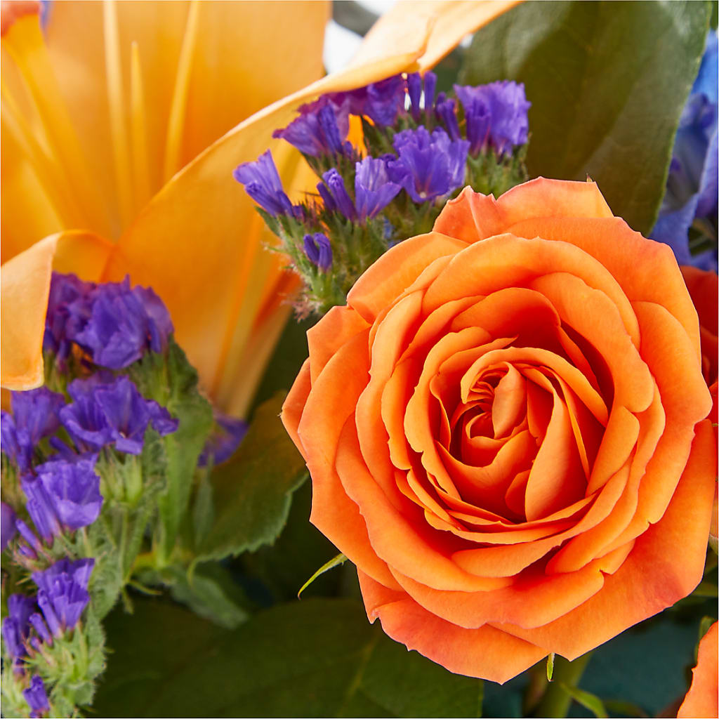 Radiant Citrus Box Bouquet – THE FLOWER PATCH & GIFT SHOPPE, Lehighton PA