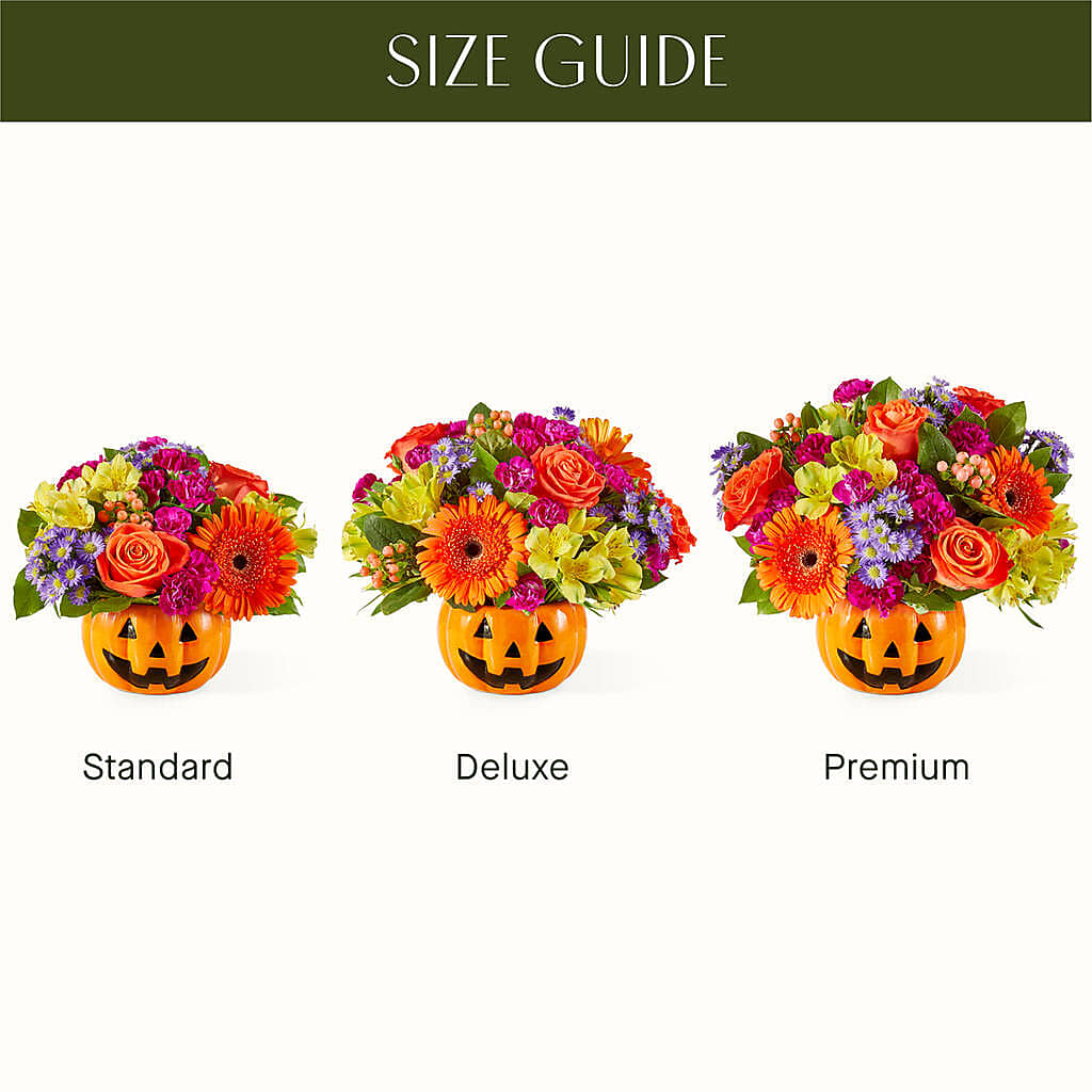 Tricks & Treats Pumpkin – THE FLOWER PATCH & GIFT SHOPPE, Lehighton PA