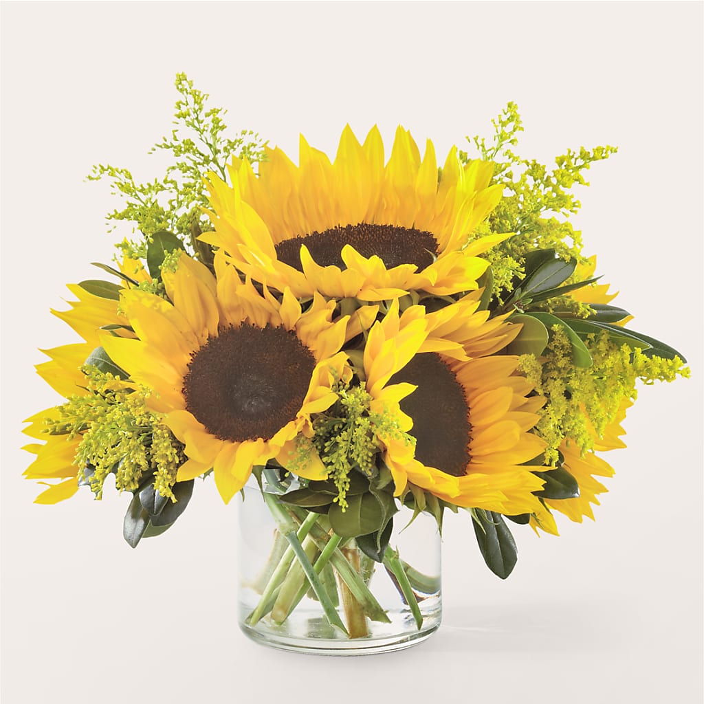 Beaming Sunflower Bouquet – THE FLOWER PATCH & GIFT SHOPPE, Lehighton PA