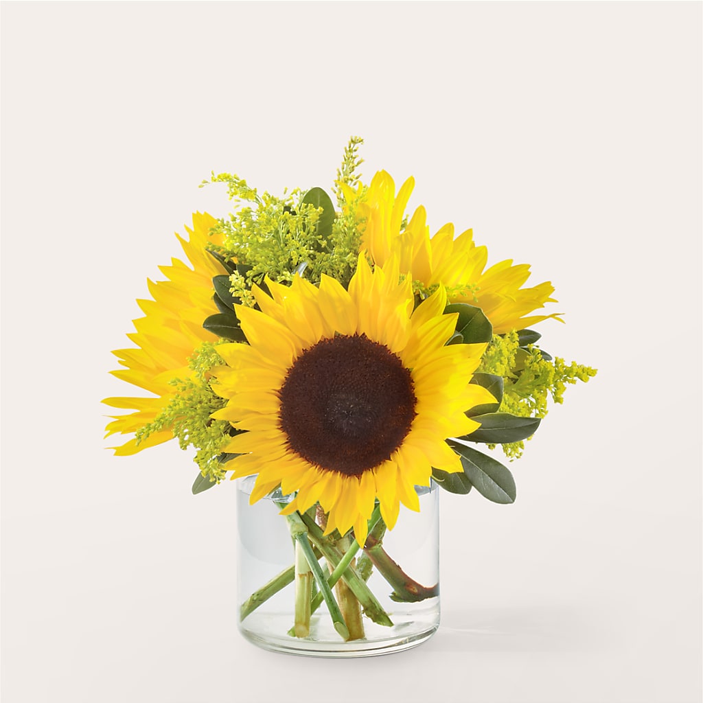 Beaming Sunflower Bouquet – THE FLOWER PATCH & GIFT SHOPPE, Lehighton PA