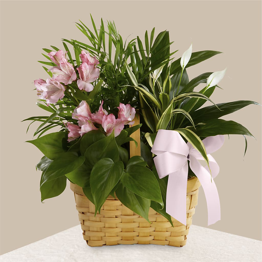 Living Spirit Dishgarden – THE FLOWER PATCH & GIFT SHOPPE, Lehighton PA