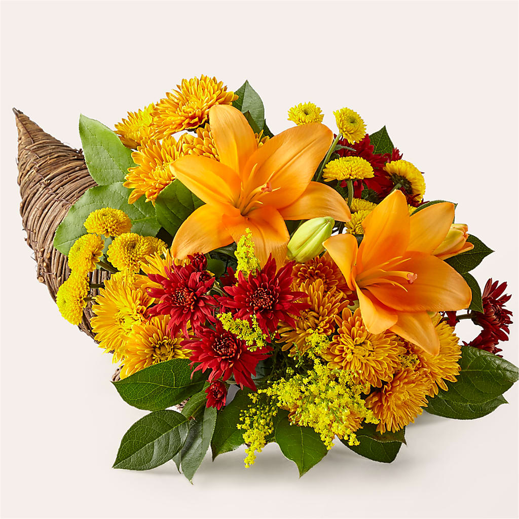 Feast of Color Cornucopia – THE FLOWER PATCH & GIFT SHOPPE, Lehighton PA