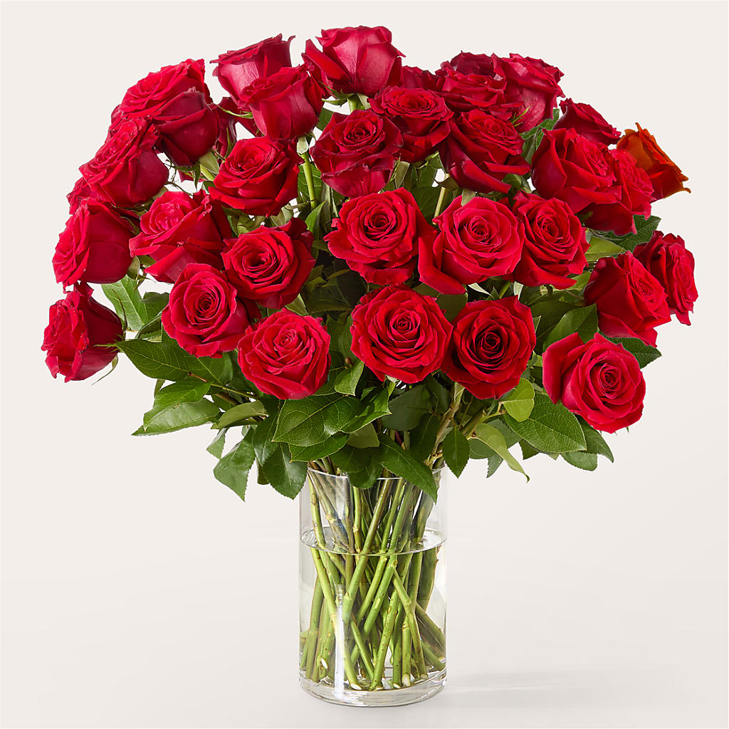 The One Red Rose Bouquet – THE FLOWER PATCH & GIFT SHOPPE, Lehighton PA
