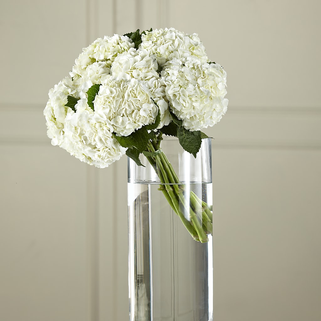 White Hydrangea Hand-Tied Bouquet – THE FLOWER PATCH & GIFT SHOPPE, Lehighton PA