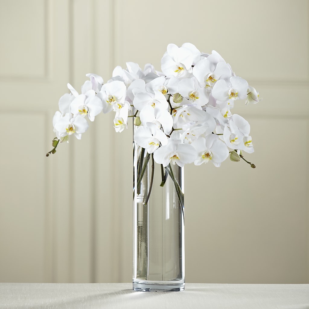 White Phalaenopsis Bouquet – THE FLOWER PATCH & GIFT SHOPPE, Lehighton PA