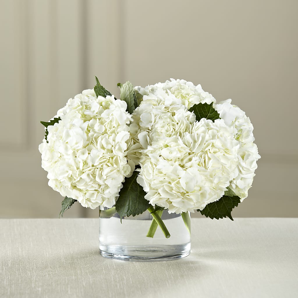 White Hydrangea Bouquet – THE FLOWER PATCH & GIFT SHOPPE, Lehighton PA