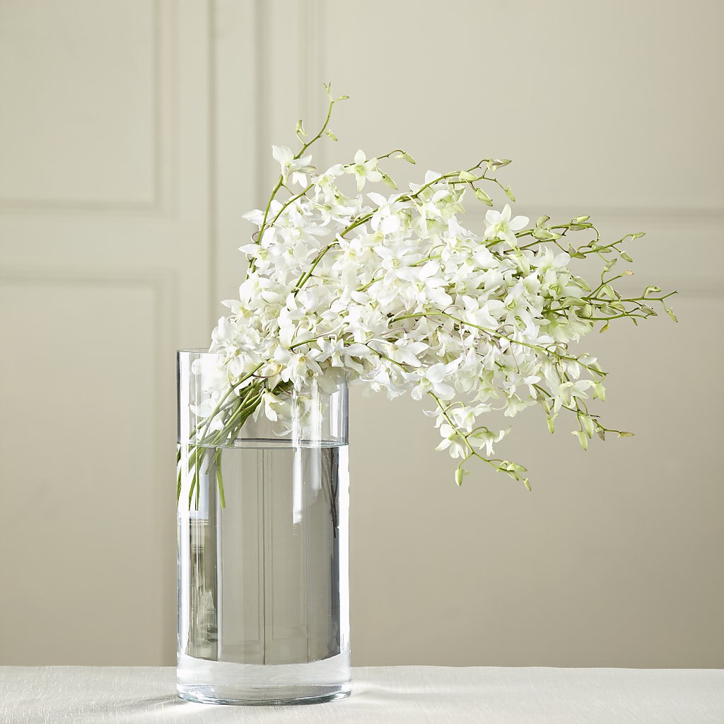 White Dendrobium Bouquet – THE FLOWER PATCH & GIFT SHOPPE, Lehighton PA