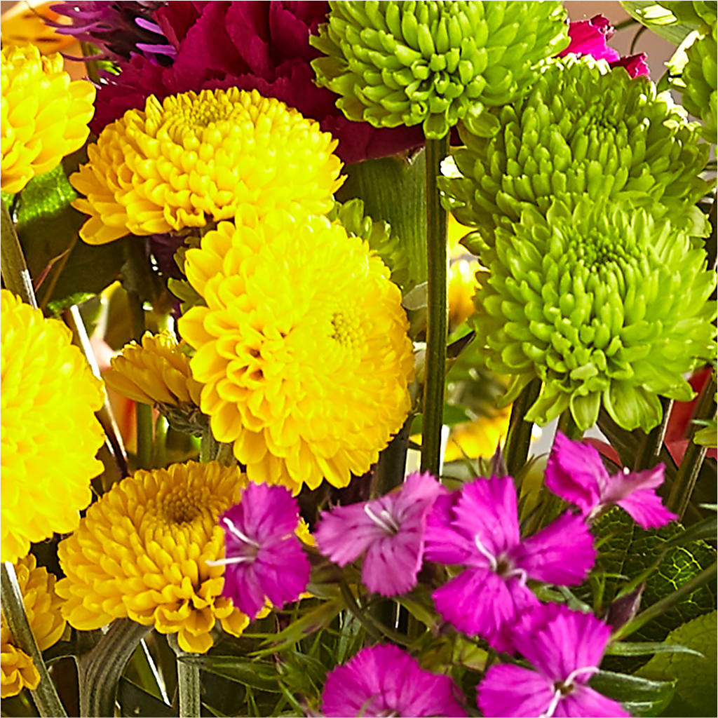 Bold & Bright – A Florist Original – THE FLOWER PATCH & GIFT SHOPPE, Lehighton PA