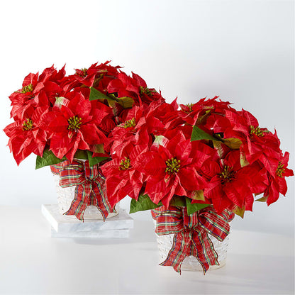Happiest Holidays Poinsettia Bundle – THE FLOWER PATCH & GIFT SHOPPE, Lehighton PA