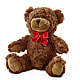 Adorable Plush Bear – THE FLOWER PATCH & GIFT SHOPPE, Lehighton PA