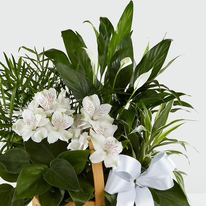 Peace & Serenity Dishgarden – THE FLOWER PATCH & GIFT SHOPPE, Lehighton PA