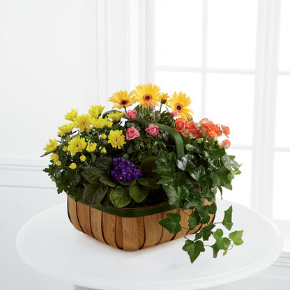 Gentle Blossoms Basket – THE FLOWER PATCH & GIFT SHOPPE, Lehighton PA