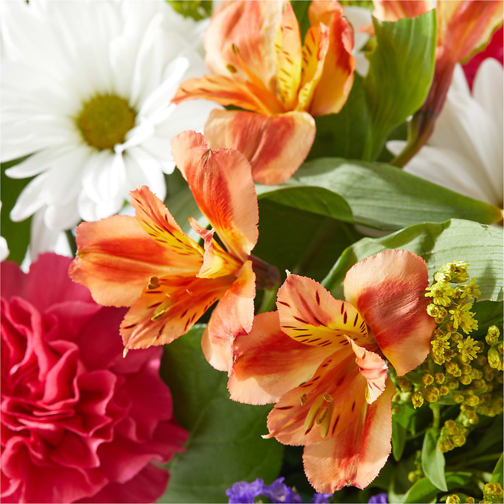 Oopsie Daisy Box Bouquet – THE FLOWER PATCH & GIFT SHOPPE, Lehighton PA