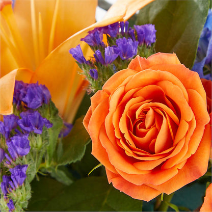 Radiant Citrus Box Bouquet – THE FLOWER PATCH & GIFT SHOPPE, Lehighton PA