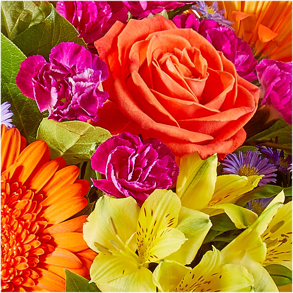 Tricks & Treats Pumpkin – THE FLOWER PATCH & GIFT SHOPPE, Lehighton PA