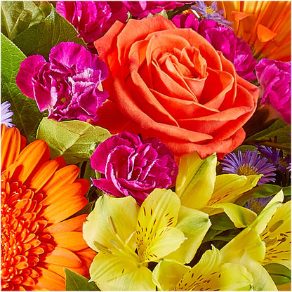 Tricks & Treats Pumpkin – THE FLOWER PATCH & GIFT SHOPPE, Lehighton PA