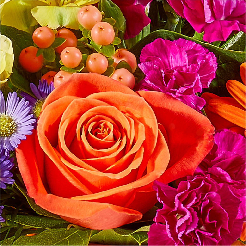 Tricks & Treats Pumpkin – THE FLOWER PATCH & GIFT SHOPPE, Lehighton PA