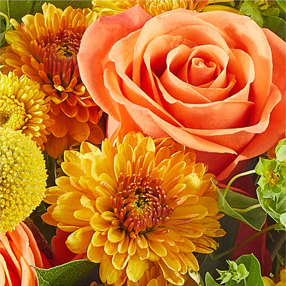 Gourdgeous Pumpkin – THE FLOWER PATCH & GIFT SHOPPE, Lehighton PA