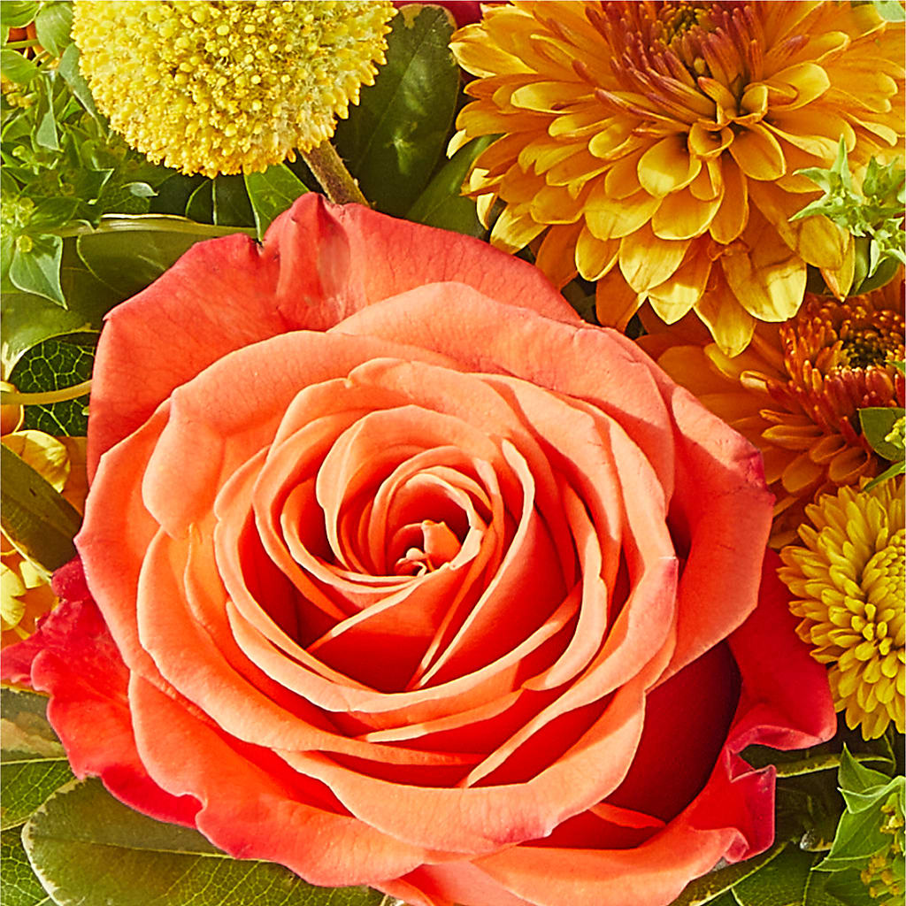 Gourdgeous Pumpkin – THE FLOWER PATCH & GIFT SHOPPE, Lehighton PA