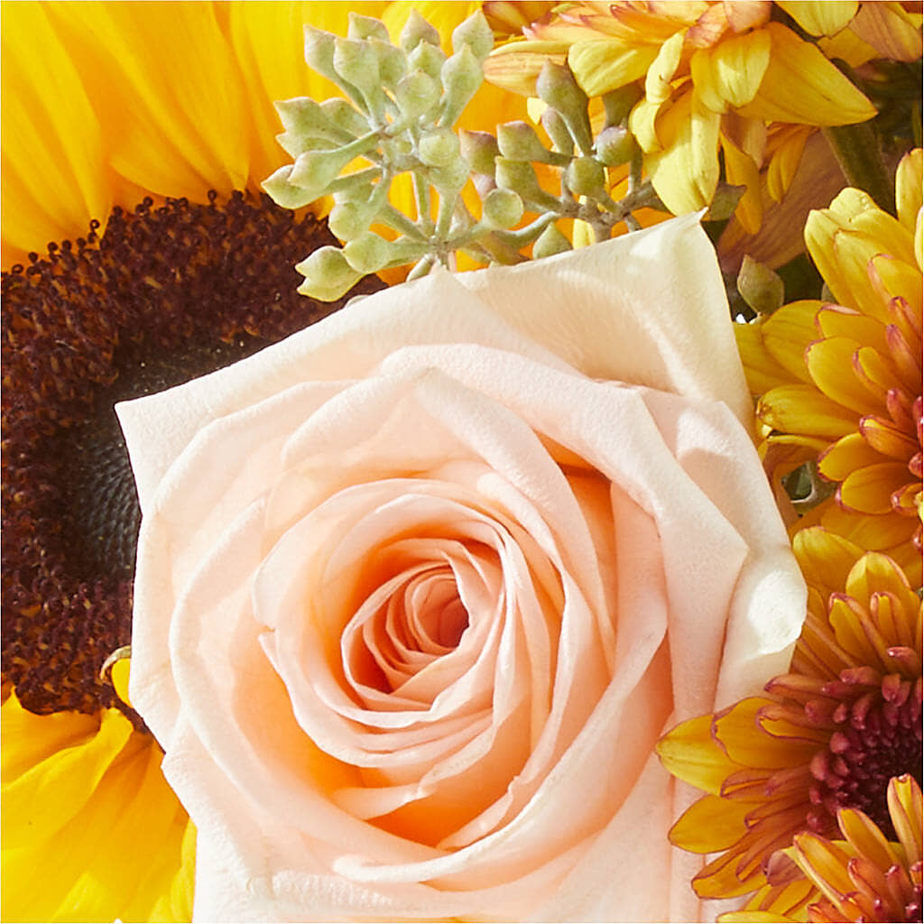 Pumpkin to Talk About Bouquet – THE FLOWER PATCH & GIFT SHOPPE, Lehighton PA
