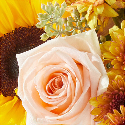 Pumpkin to Talk About Bouquet – THE FLOWER PATCH & GIFT SHOPPE, Lehighton PA