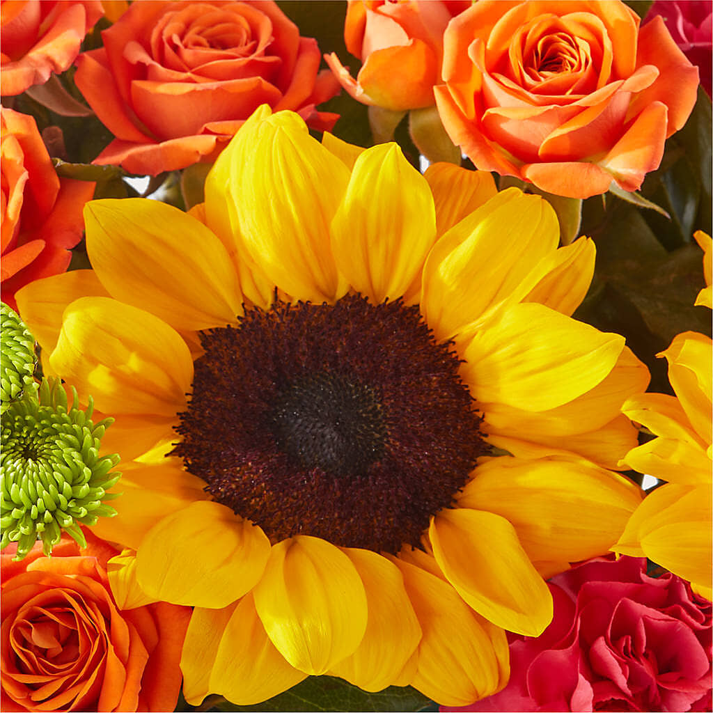 Sun-drenched Blooms Box Bouquet – THE FLOWER PATCH & GIFT SHOPPE, Lehighton PA