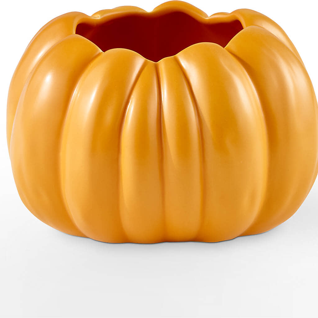 Golden Gourd Pumpkin Bouquet – THE FLOWER PATCH & GIFT SHOPPE, Lehighton PA