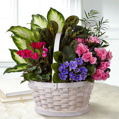 Peaceful Garden Planter – THE FLOWER PATCH & GIFT SHOPPE, Lehighton PA