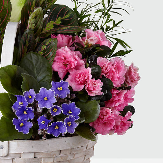 Peaceful Garden Planter – THE FLOWER PATCH & GIFT SHOPPE, Lehighton PA