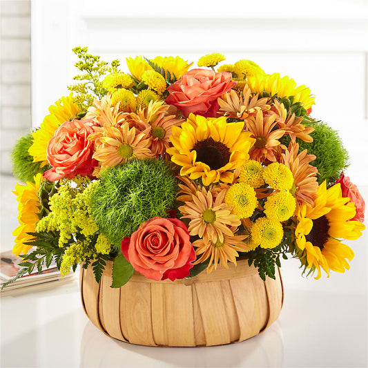 Harvest Sunflower Basket – THE FLOWER PATCH & GIFT SHOPPE, Lehighton PA