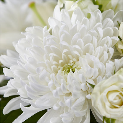 Classic Ivory – A Florist Original – THE FLOWER PATCH & GIFT SHOPPE, Lehighton PA