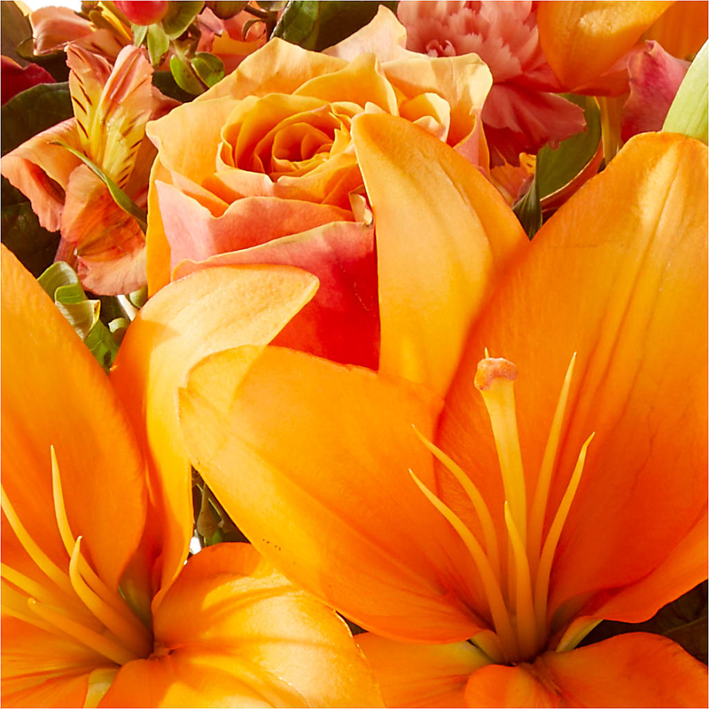 Afternoon Light Bouquet – THE FLOWER PATCH & GIFT SHOPPE, Lehighton PA