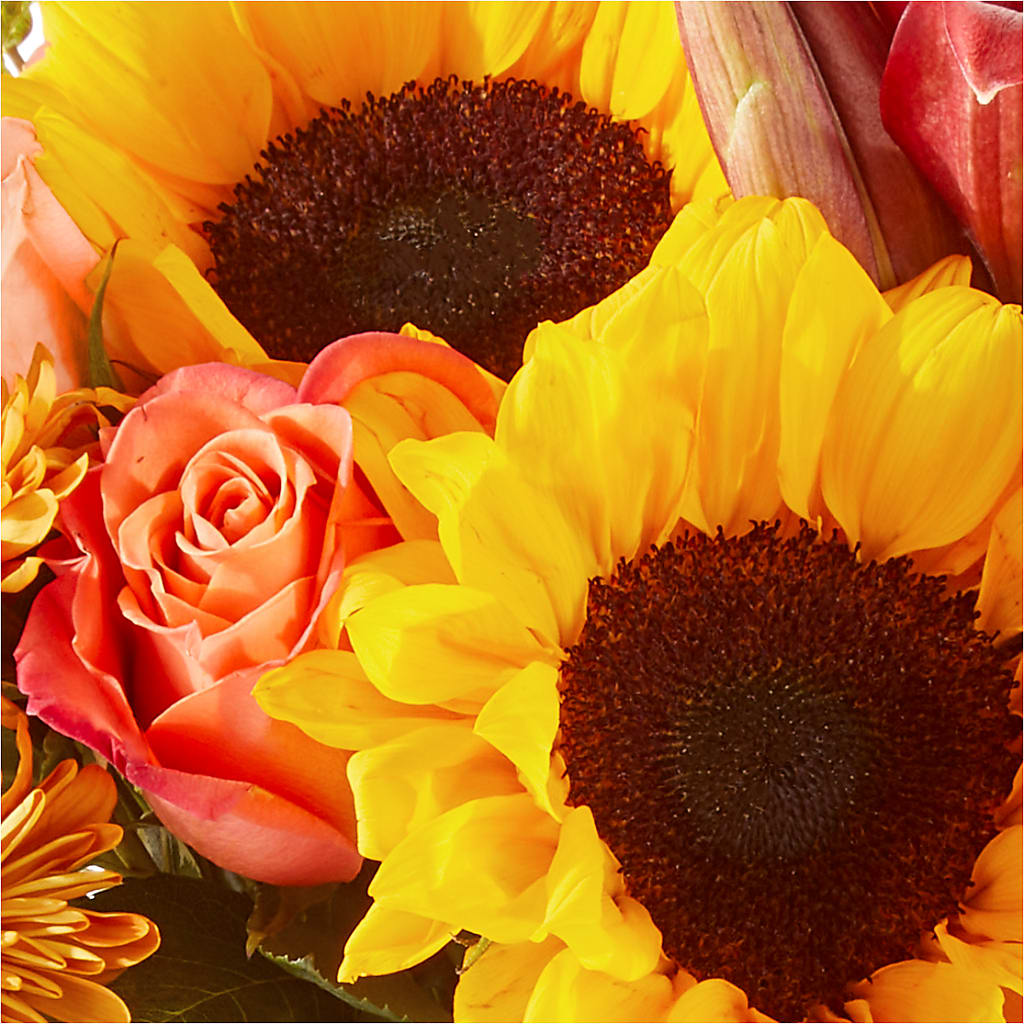 Acorn Lane Bouquet – THE FLOWER PATCH & GIFT SHOPPE, Lehighton PA