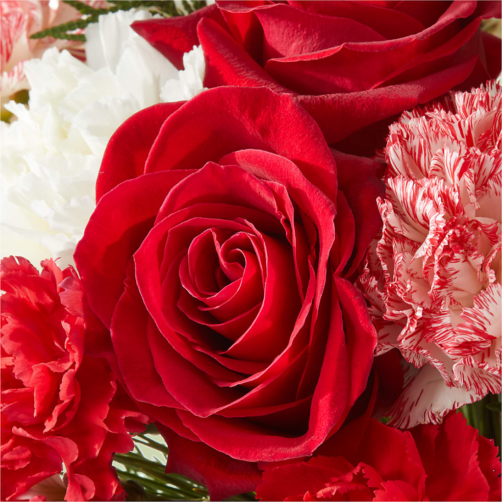 Candy Cane Lane Bouquet – THE FLOWER PATCH & GIFT SHOPPE, Lehighton PA