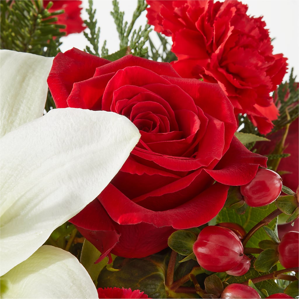 Oh So Jolly Bouquet – THE FLOWER PATCH & GIFT SHOPPE, Lehighton PA