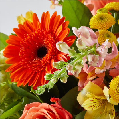 Autumn Sunshine Bouquet – THE FLOWER PATCH & GIFT SHOPPE, Lehighton PA