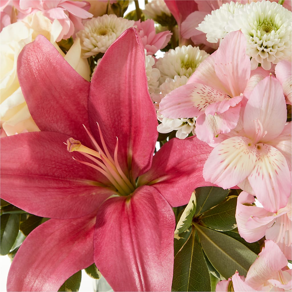 Piece of Cake Bouquet – THE FLOWER PATCH & GIFT SHOPPE, Lehighton PA