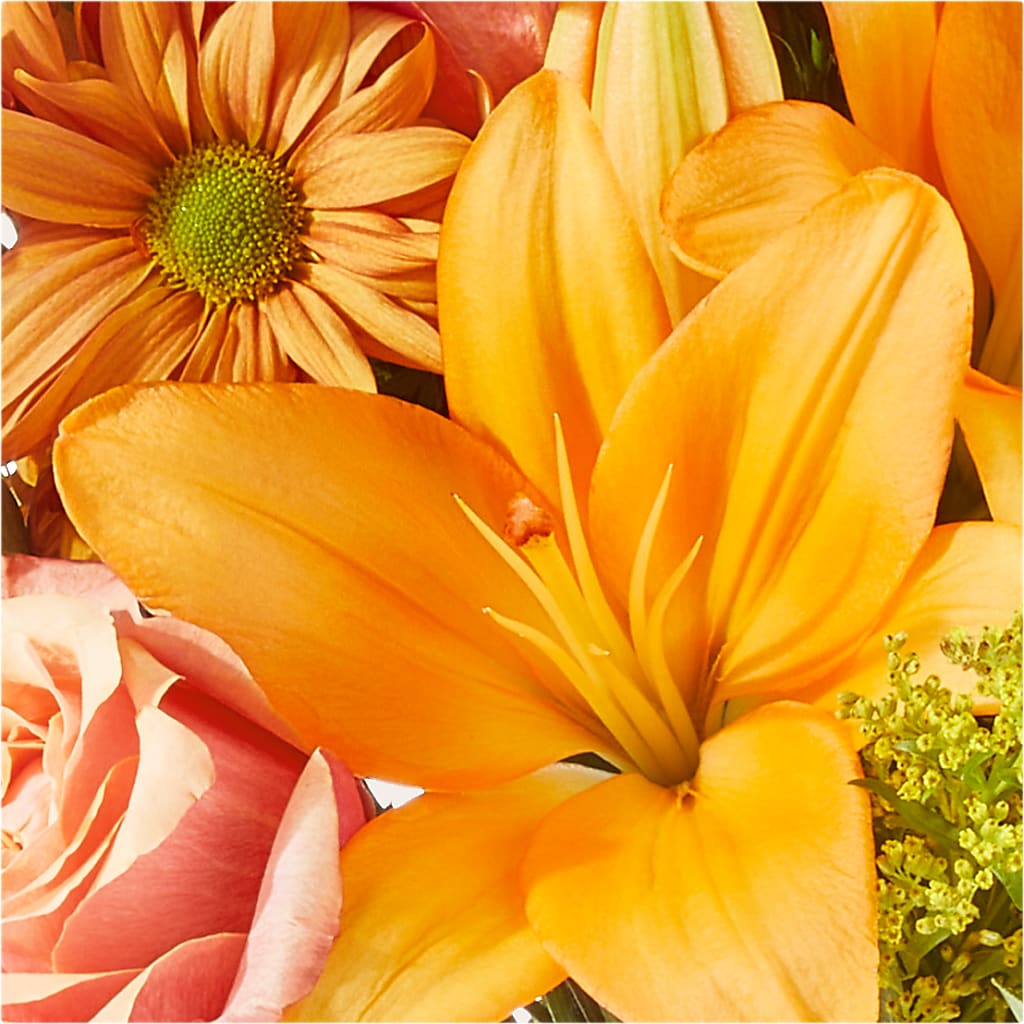 Harvest Hayride Bouquet – THE FLOWER PATCH & GIFT SHOPPE, Lehighton PA