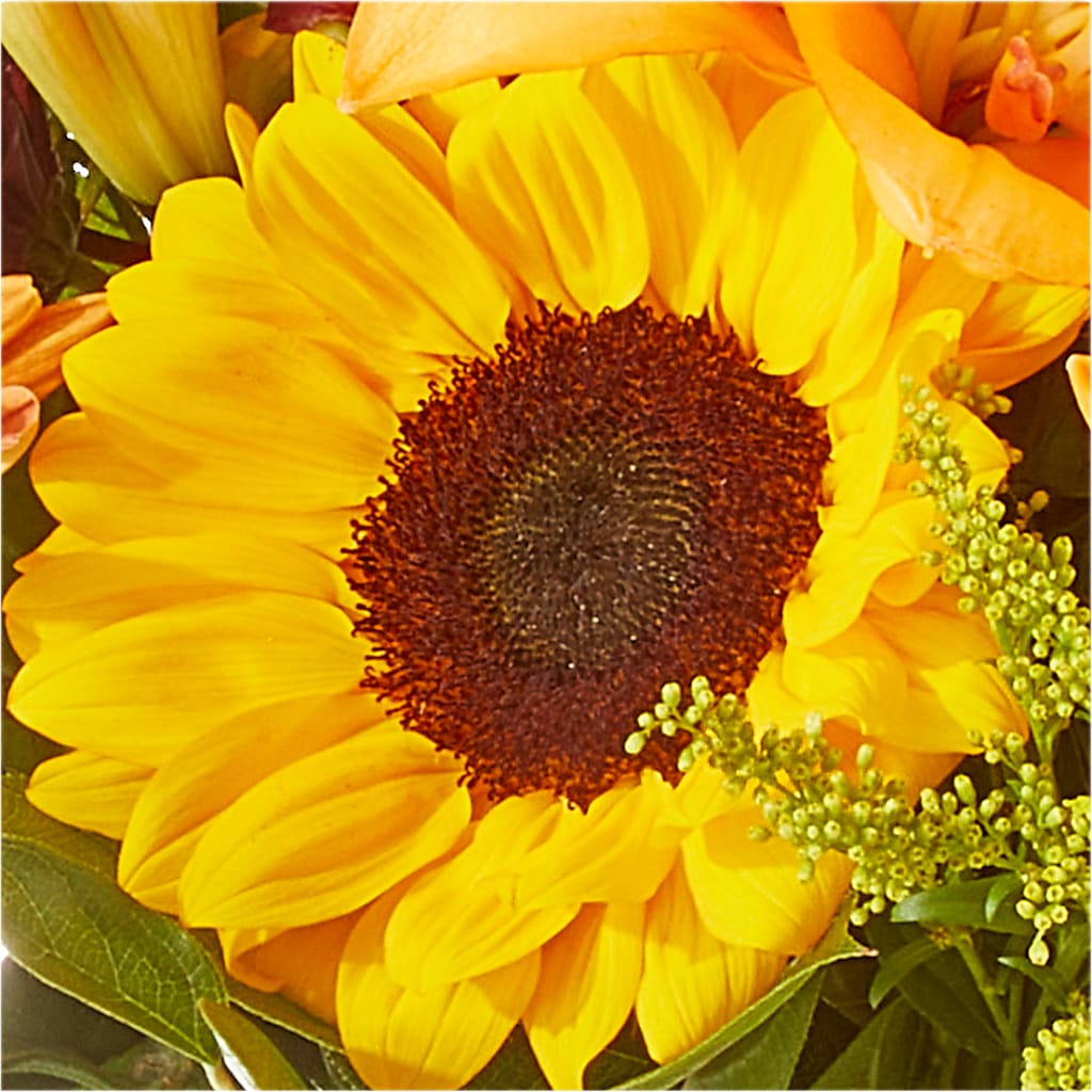 Seasons Change Bouquet – THE FLOWER PATCH & GIFT SHOPPE, Lehighton PA