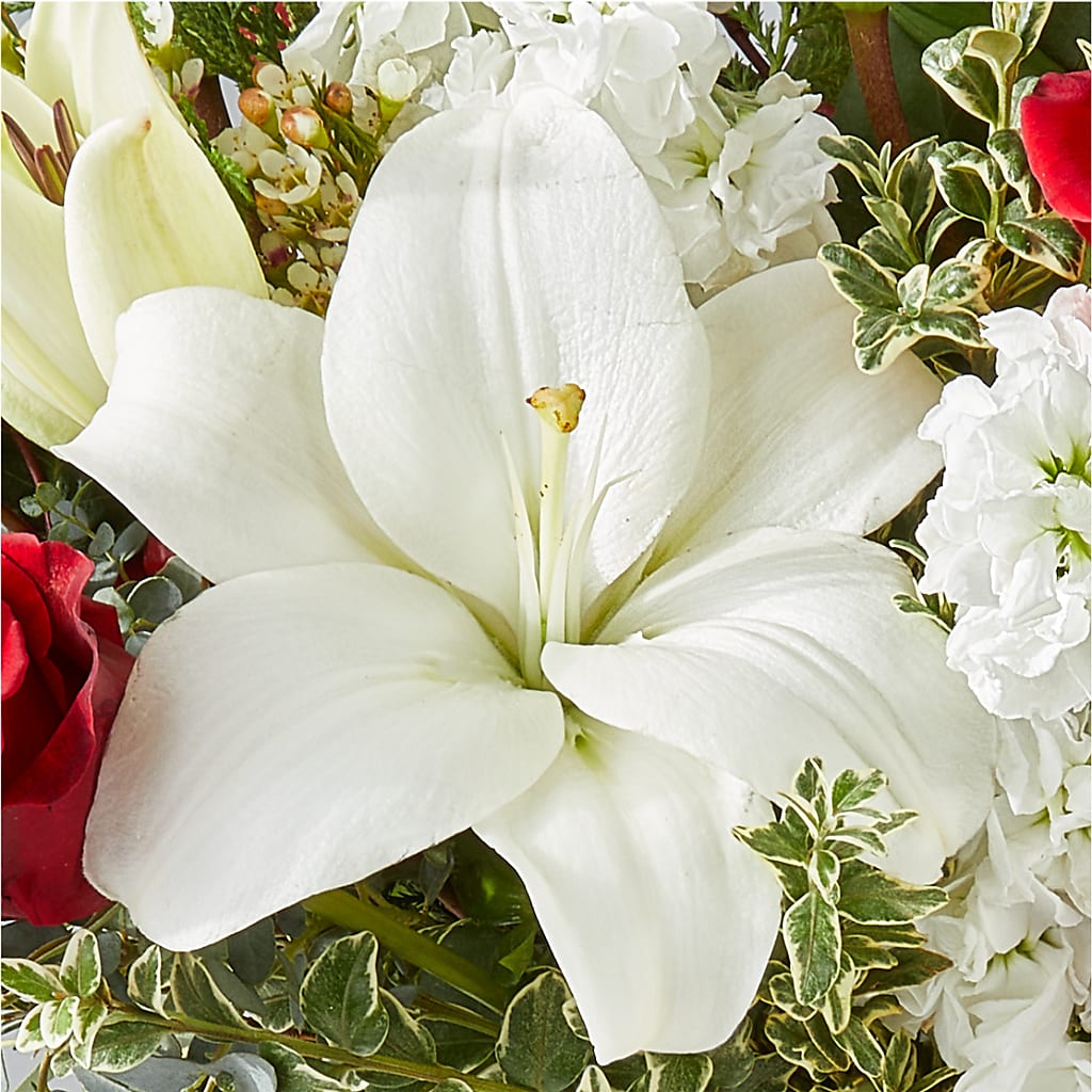 Twinkle Lights Bouquet – THE FLOWER PATCH & GIFT SHOPPE, Lehighton PA