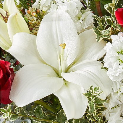 Twinkle Lights Bouquet – THE FLOWER PATCH & GIFT SHOPPE, Lehighton PA