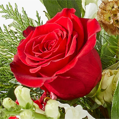 Deck the Halls Bouquet – THE FLOWER PATCH & GIFT SHOPPE, Lehighton PA