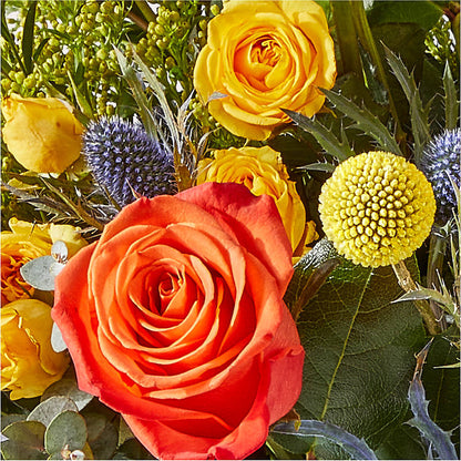 Disco Bouquet – THE FLOWER PATCH & GIFT SHOPPE, Lehighton PA
