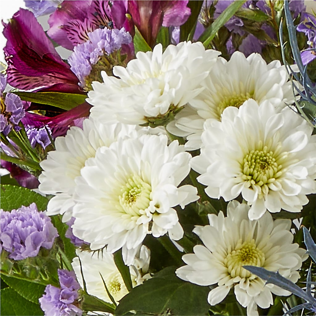 Shooting Star Bouquet – THE FLOWER PATCH & GIFT SHOPPE, Lehighton PA