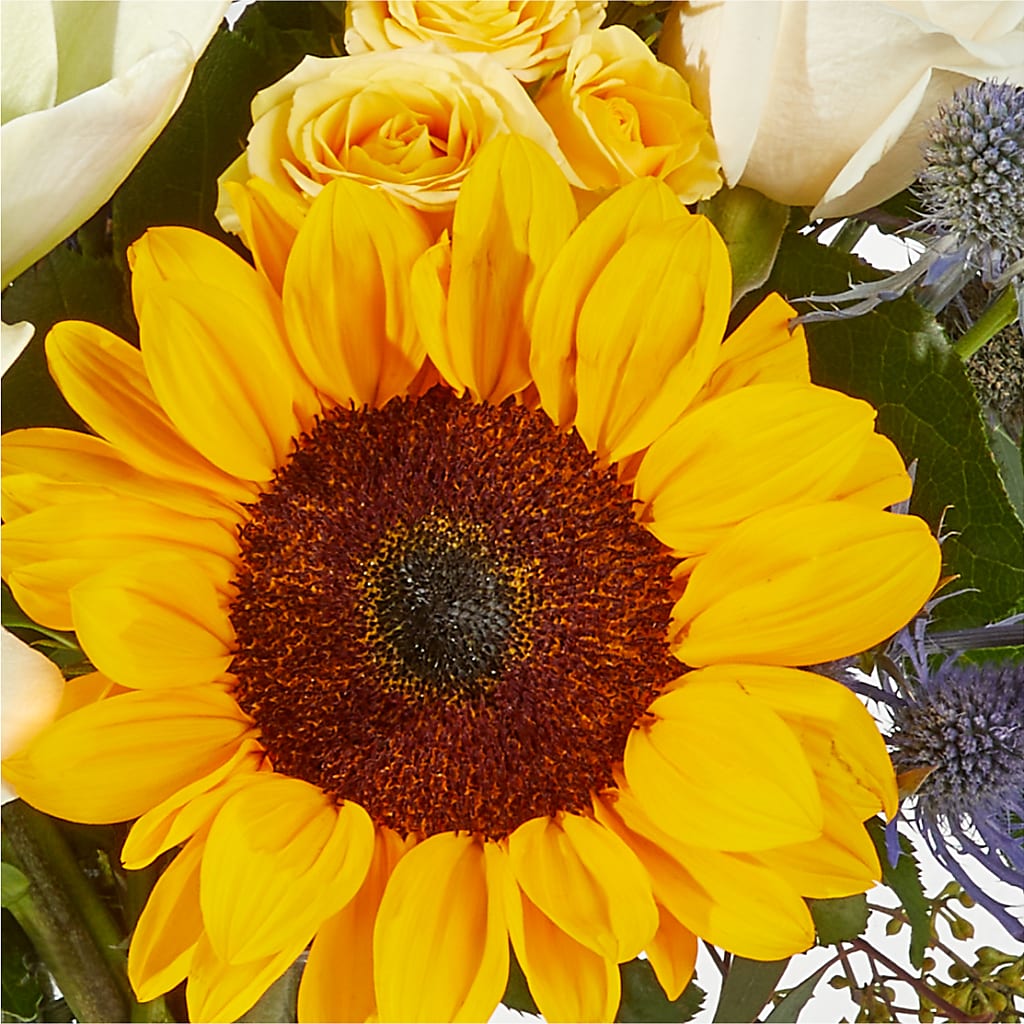 Wonderfully Sunny Bouquet – THE FLOWER PATCH & GIFT SHOPPE, Lehighton PA