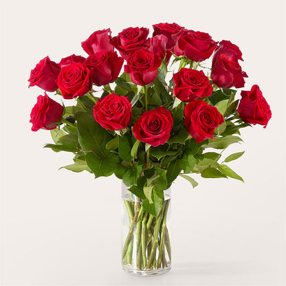 The One Red Rose Bouquet – THE FLOWER PATCH & GIFT SHOPPE, Lehighton PA